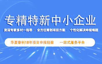 專精特新中小企業(yè)